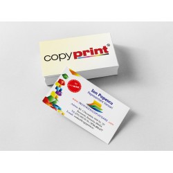 Carti de vizita carton standard 300g 