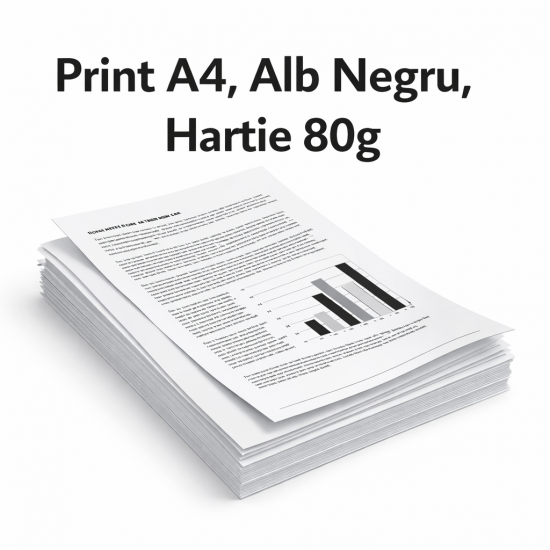 Print A4 Alb Negru - 80gr 